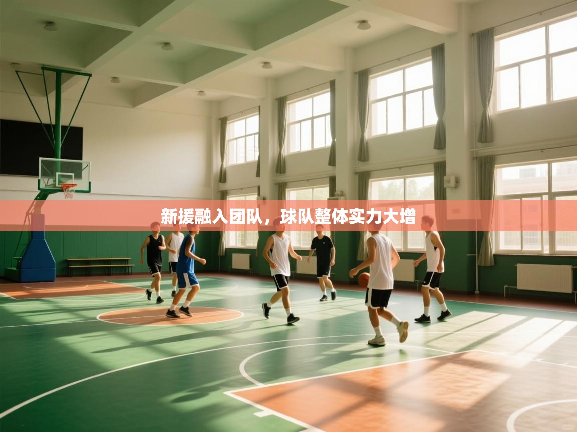 新援融入团队，球队整体实力大增  第1张