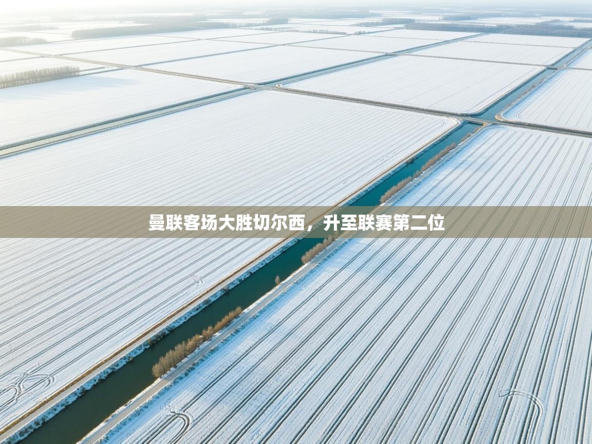 曼联客场大胜切尔西，升至联赛第二位