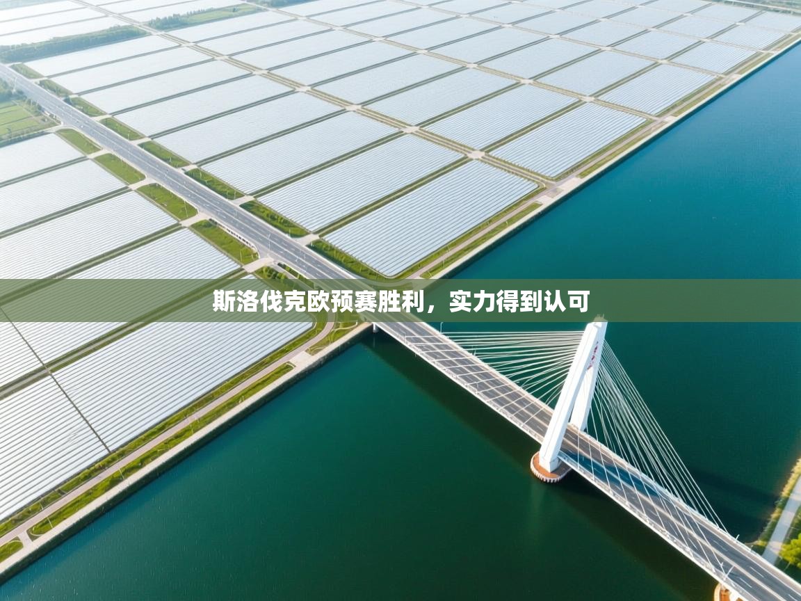 斯洛伐克欧预赛胜利，实力得到认可