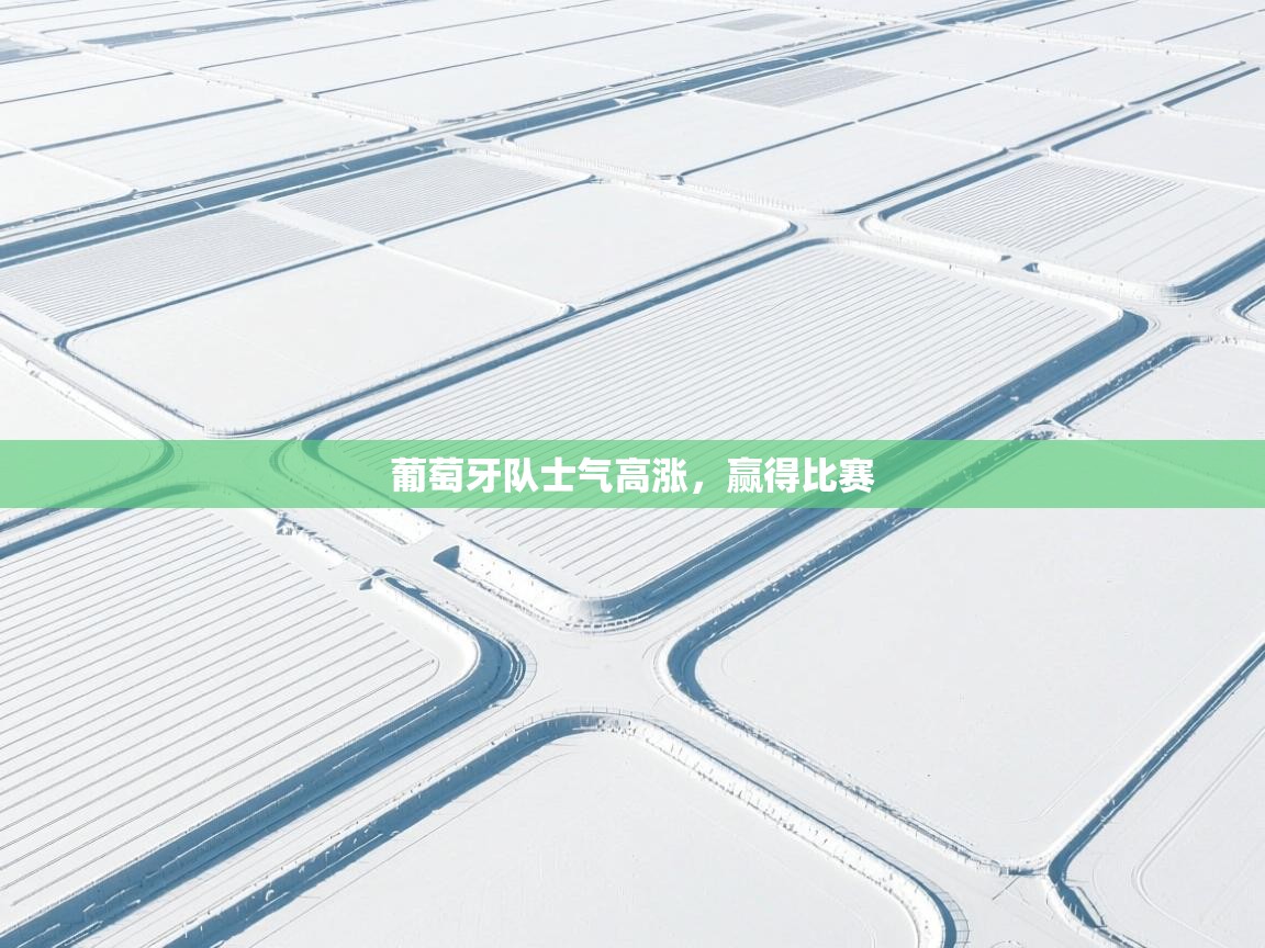 葡萄牙队士气高涨，赢得比赛  第2张