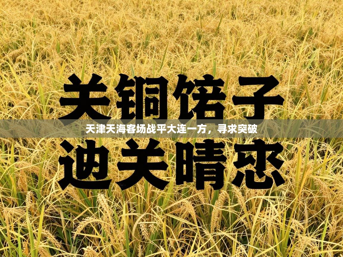 天津天海客场战平大连一方，寻求突破