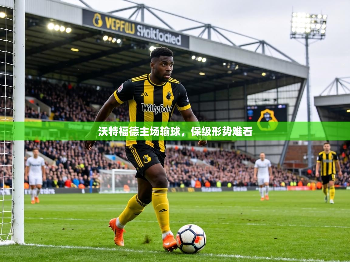 沃特福德主场输球，保级形势难看  第1张
